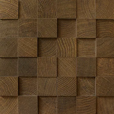 101993909 - PROVENZA W-Circles, Wenge 3D 5x5 Mosaikk (a).jpg